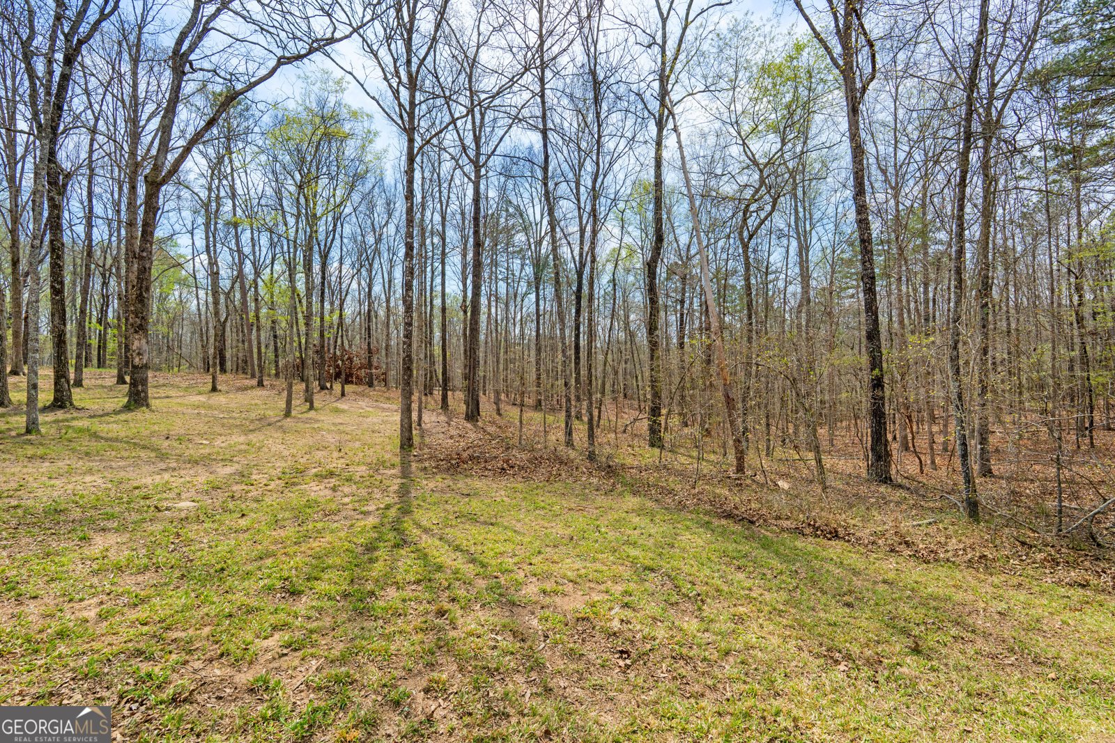 733 Cherry Road Franklin - Photo 54