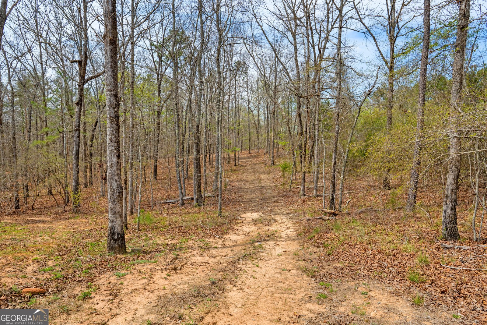 733 Cherry Road Franklin - Photo 55