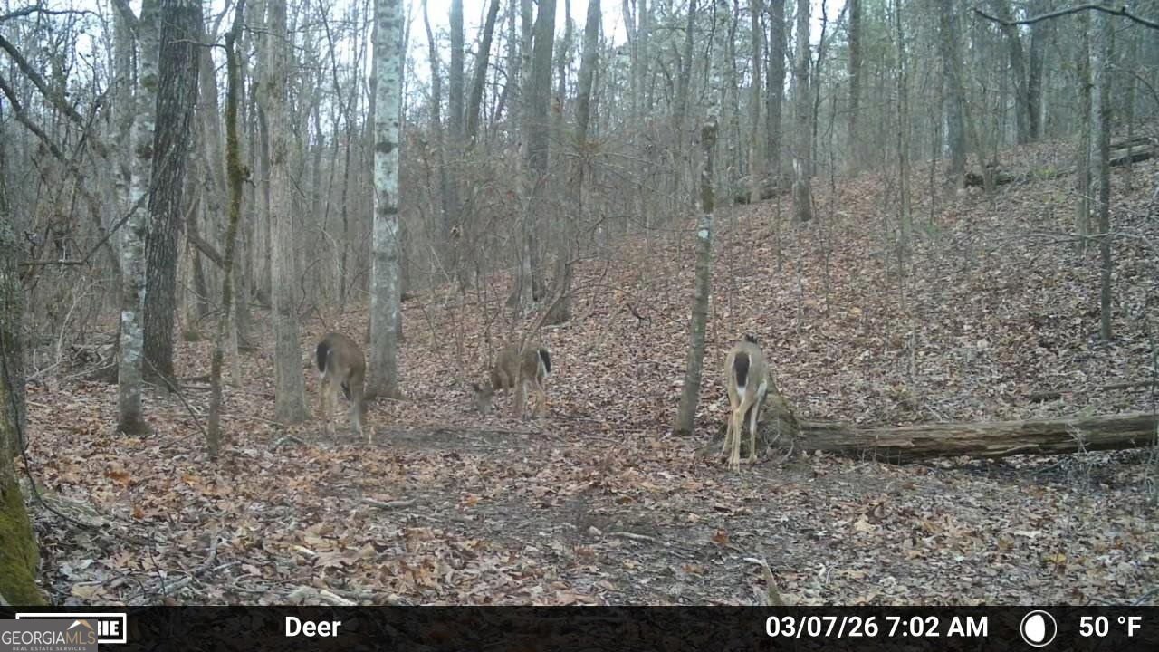 733 Cherry Road Franklin - Photo 65