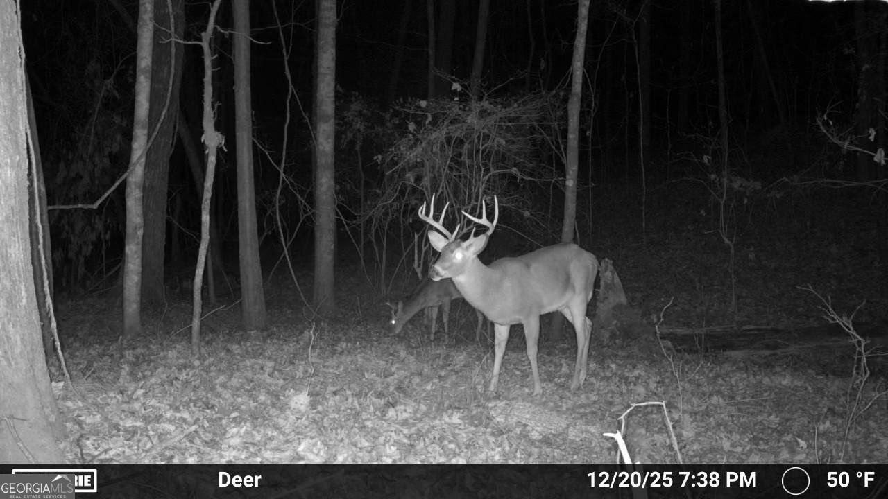 733 Cherry Road Franklin - Photo 66