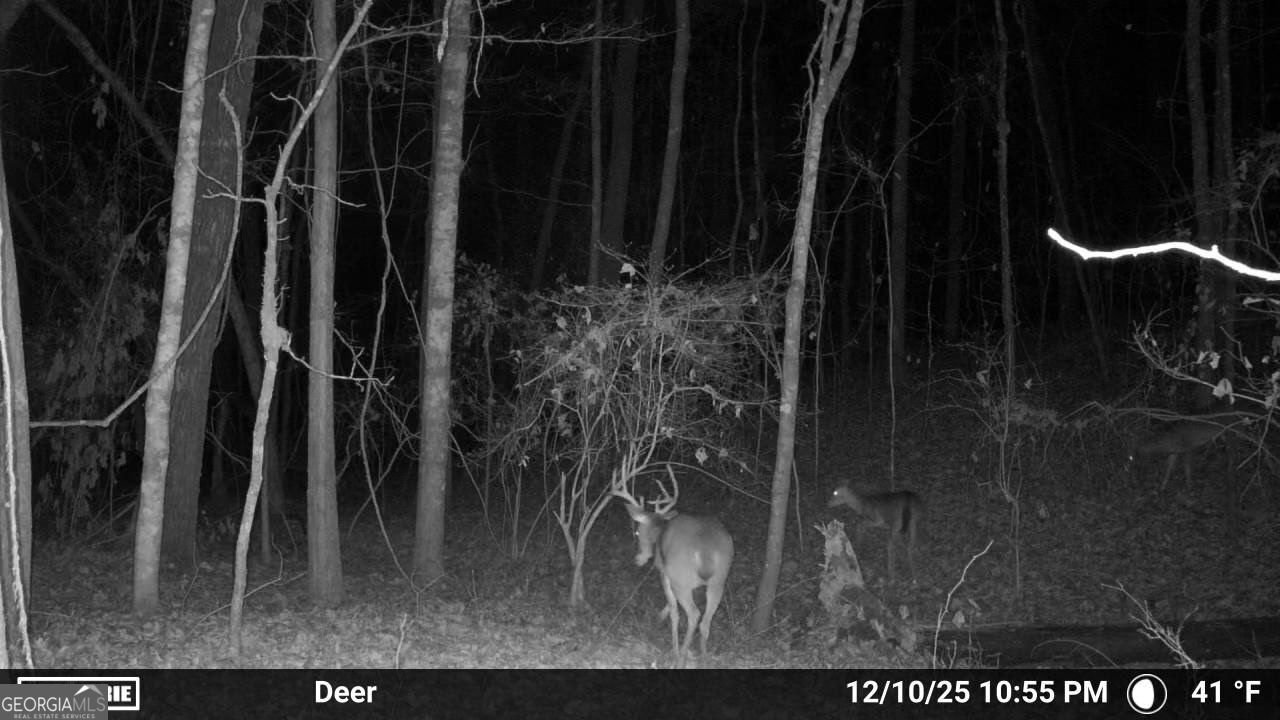 733 Cherry Road Franklin - Photo 67