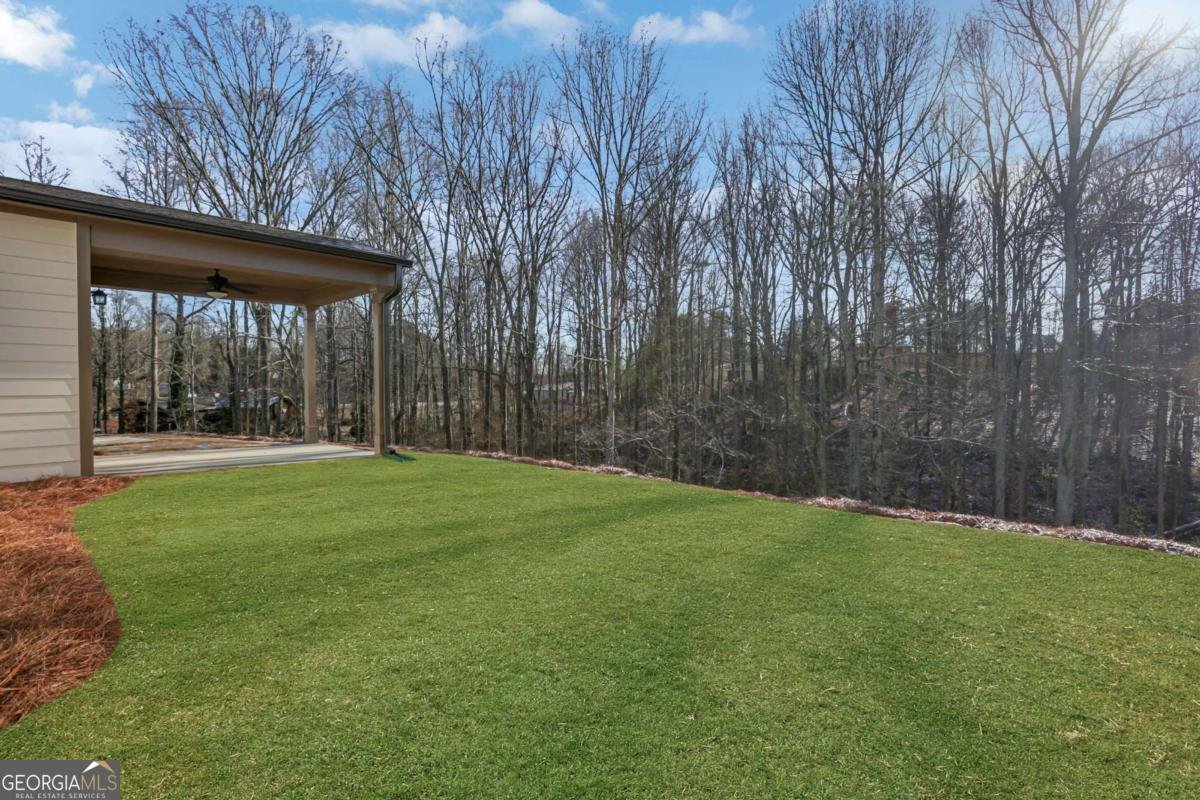160 Trace Bluff Dawsonville - Photo 39