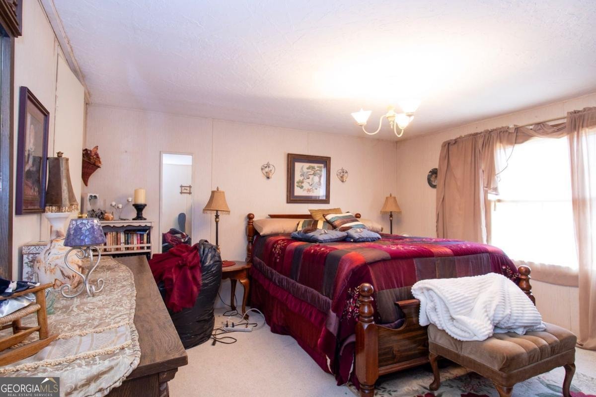 217 Broad River Rd Carlton - Photo 25