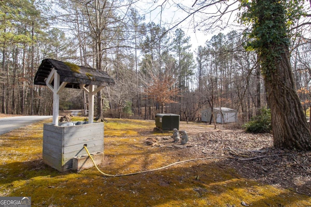 217 Broad River Rd Carlton - Photo 37