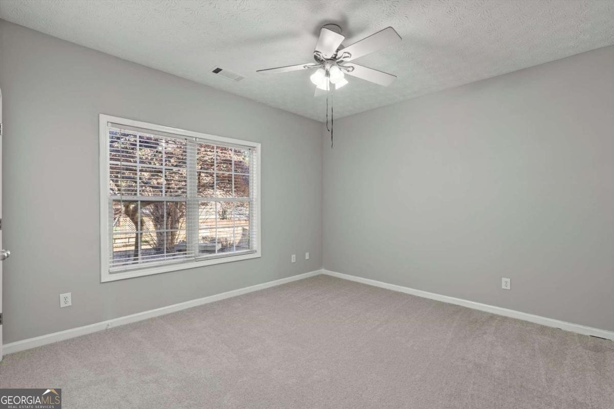 3805 Butler Springs Drive Loganville - Photo 19