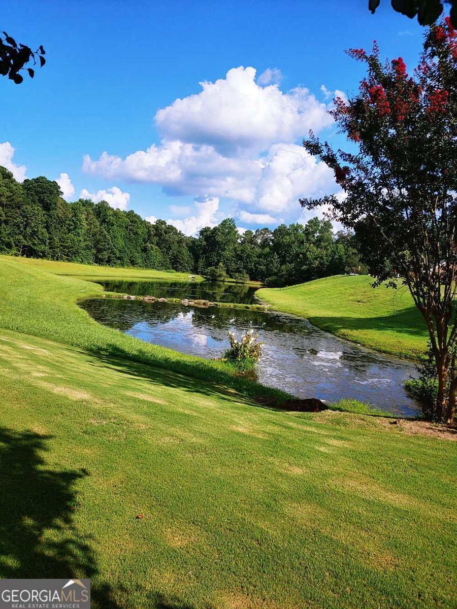 3805 Butler Springs Drive Loganville - Photo 47