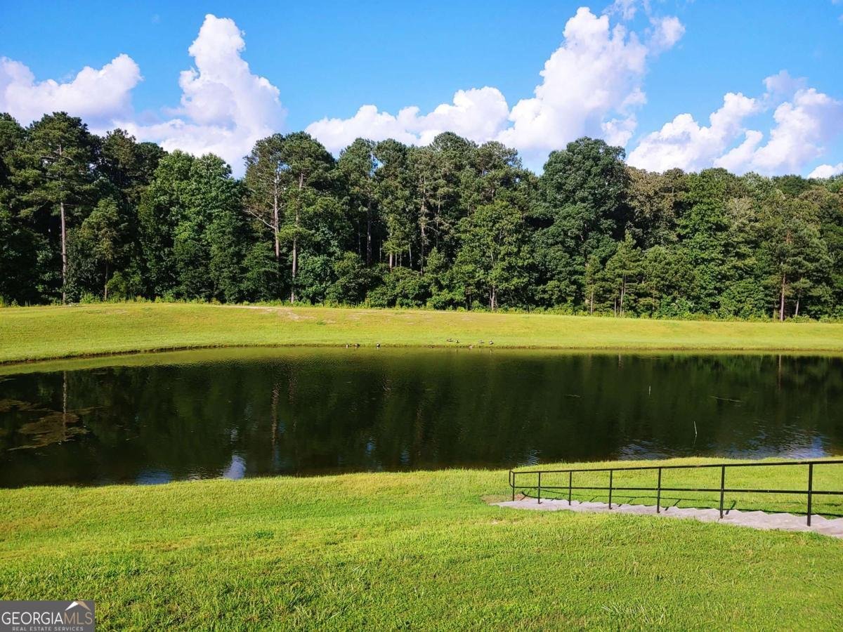 3805 Butler Springs Drive Loganville - Photo 48