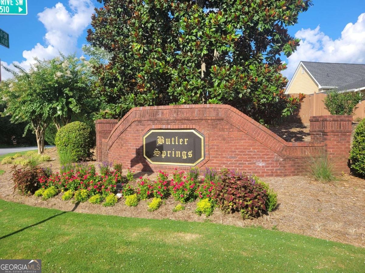 3805 Butler Springs Drive Loganville - Photo 49