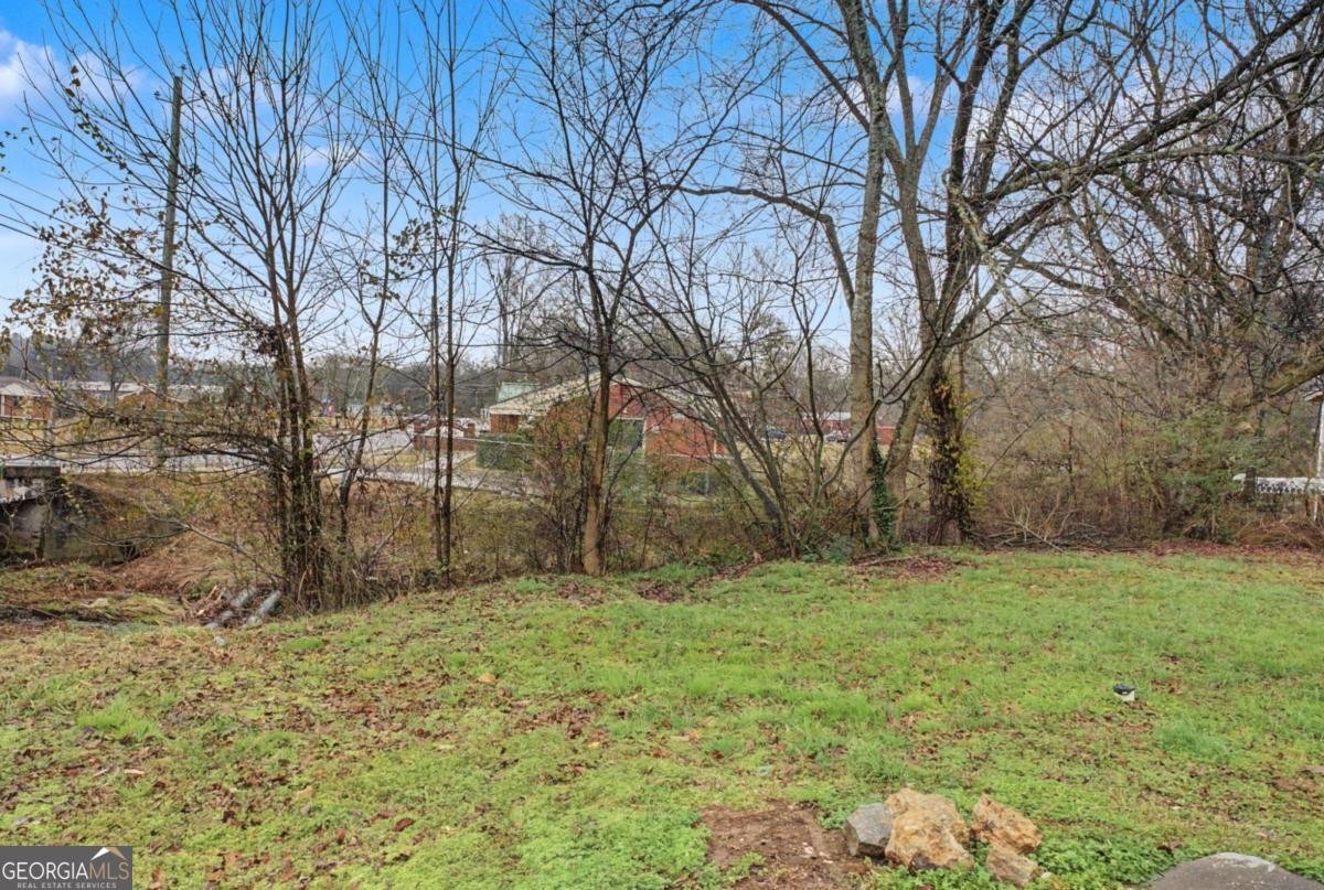 210 Merritts Avenue Cedartown - Photo 29