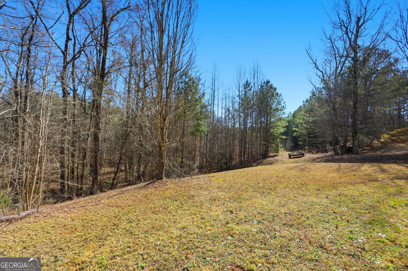 7517 Watson Circle Locust Grove - Photo 43