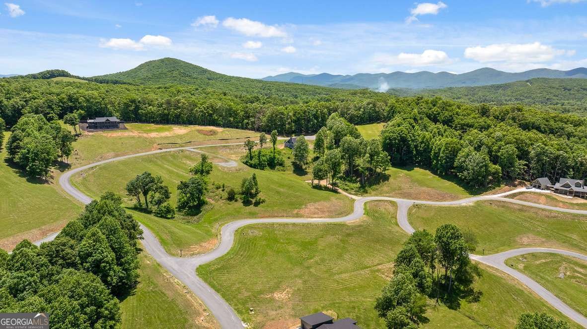 171 Big Valley Drive Morganton - Photo 54