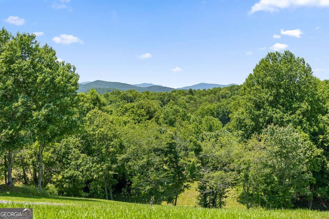 171 Big Valley Drive Morganton - Photo 56