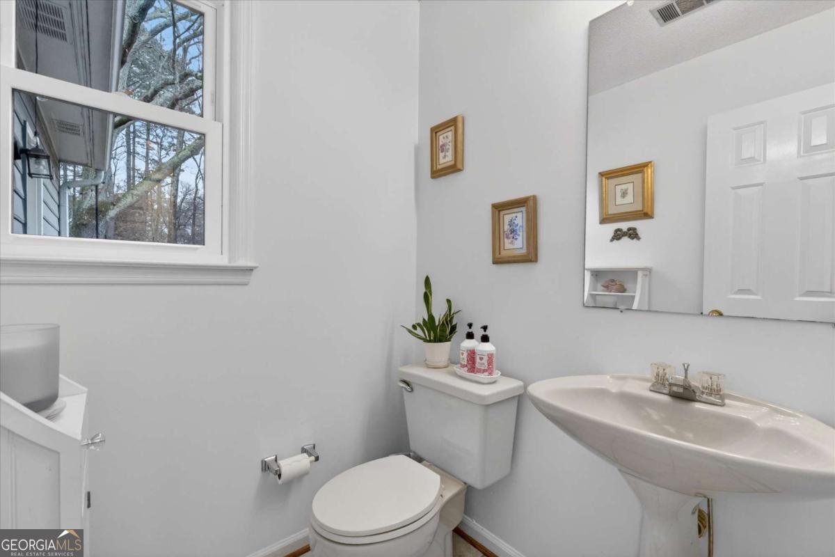 1354 Salem Drive Alpharetta - Photo 33