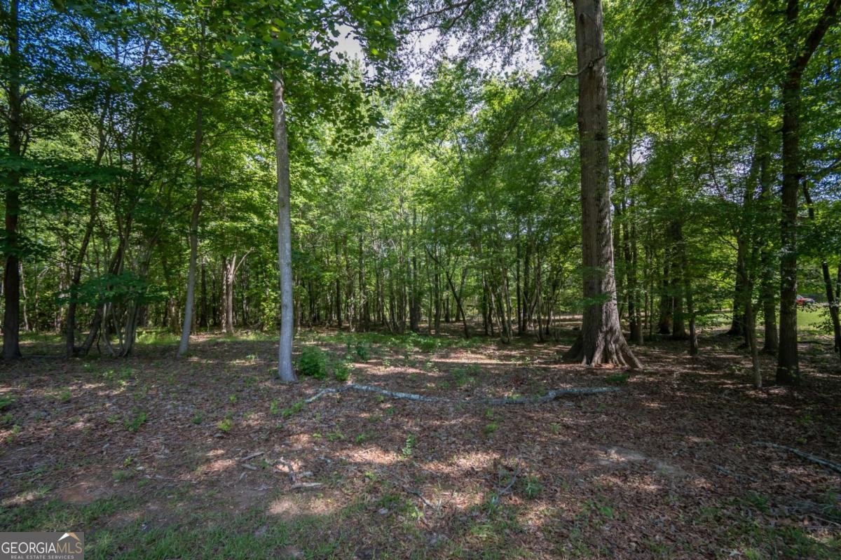 1181 Pete Dickens Road Bogart - Photo 57