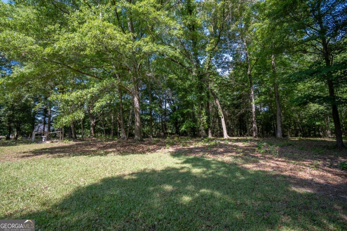 1181 Pete Dickens Road Bogart - Photo 58