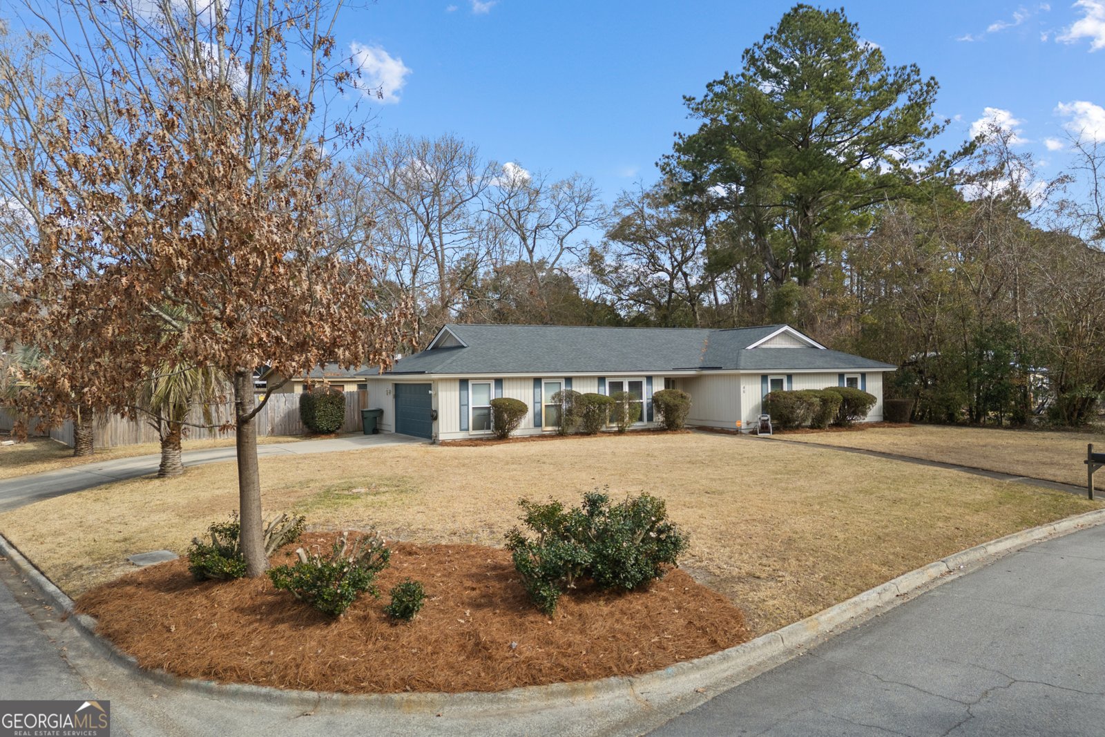46 Nicholson Circle Savannah - Photo 1