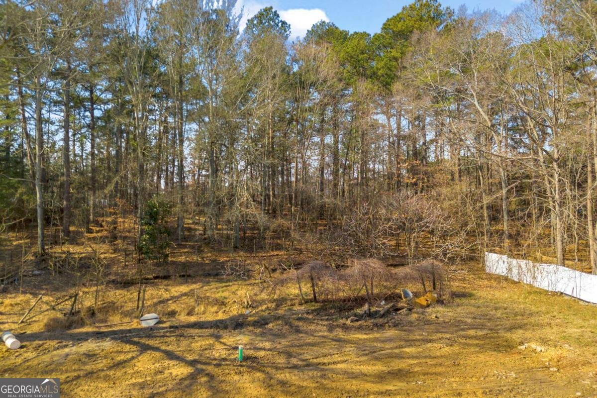 3430 Camp Branch-Lot 7 Road Buford - Photo 20