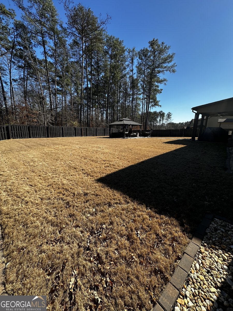 365 Silver Ridge Road Covington - Photo 43