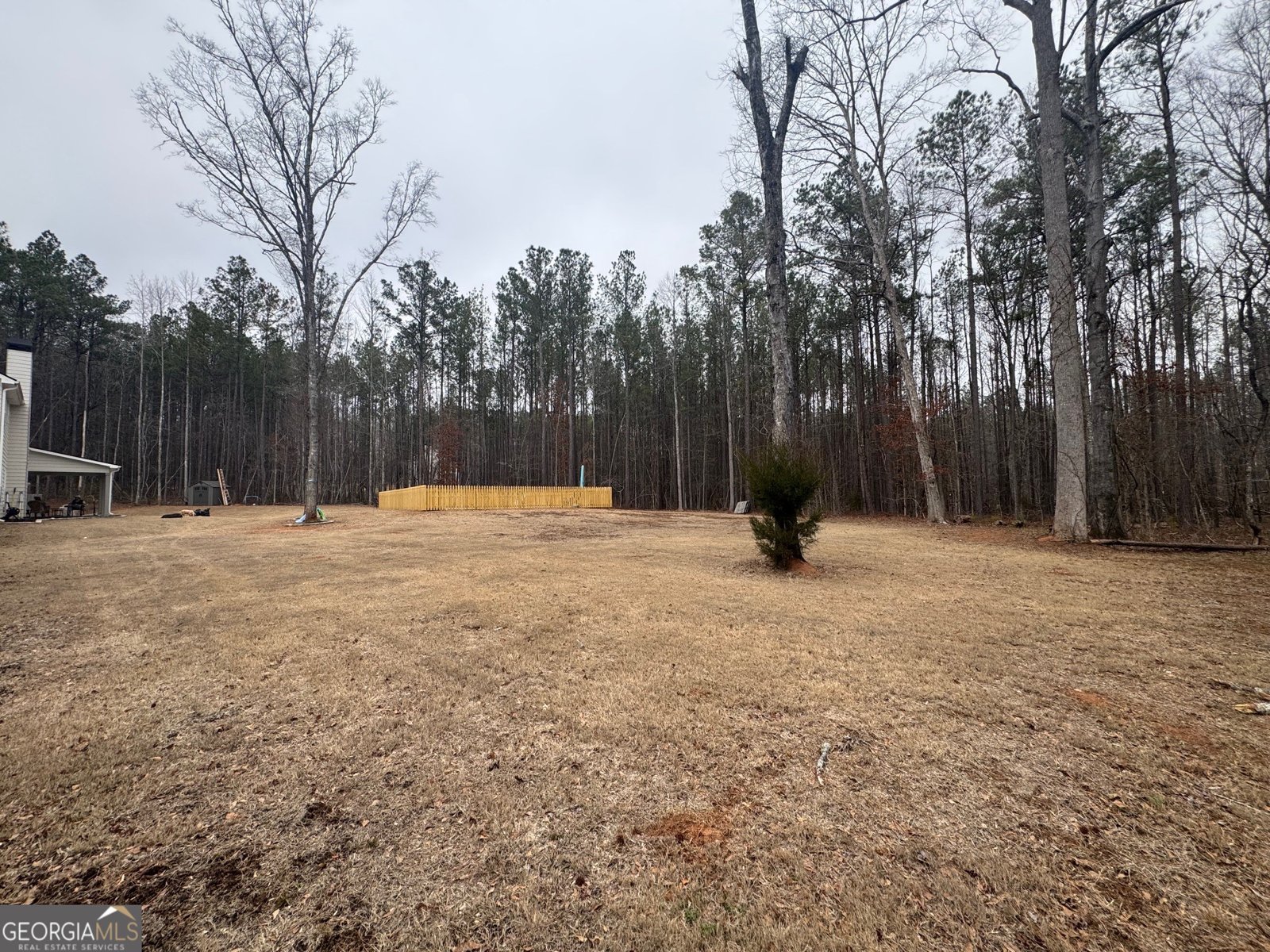 19 Allison Road Moreland - Photo 12