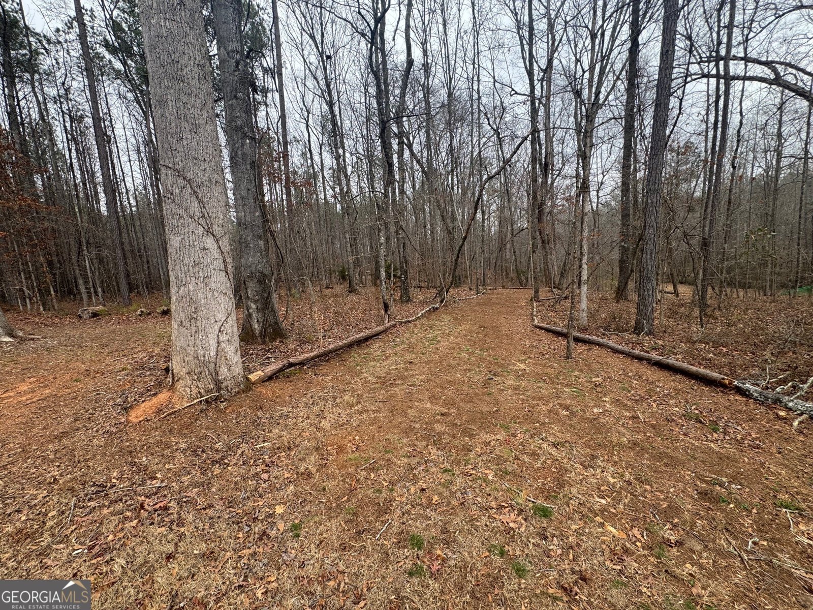 19 Allison Road Moreland - Photo 13