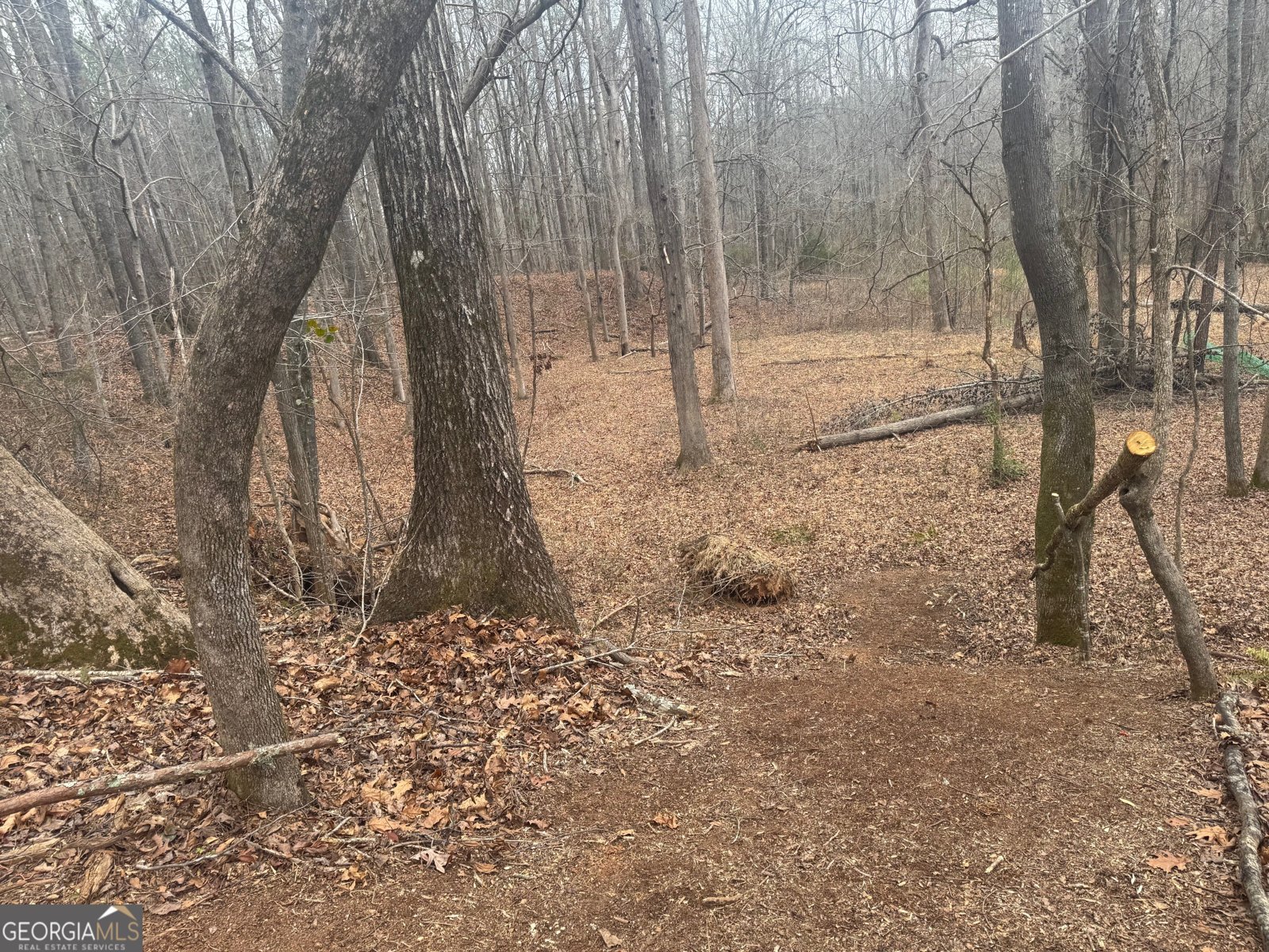 19 Allison Road Moreland - Photo 14