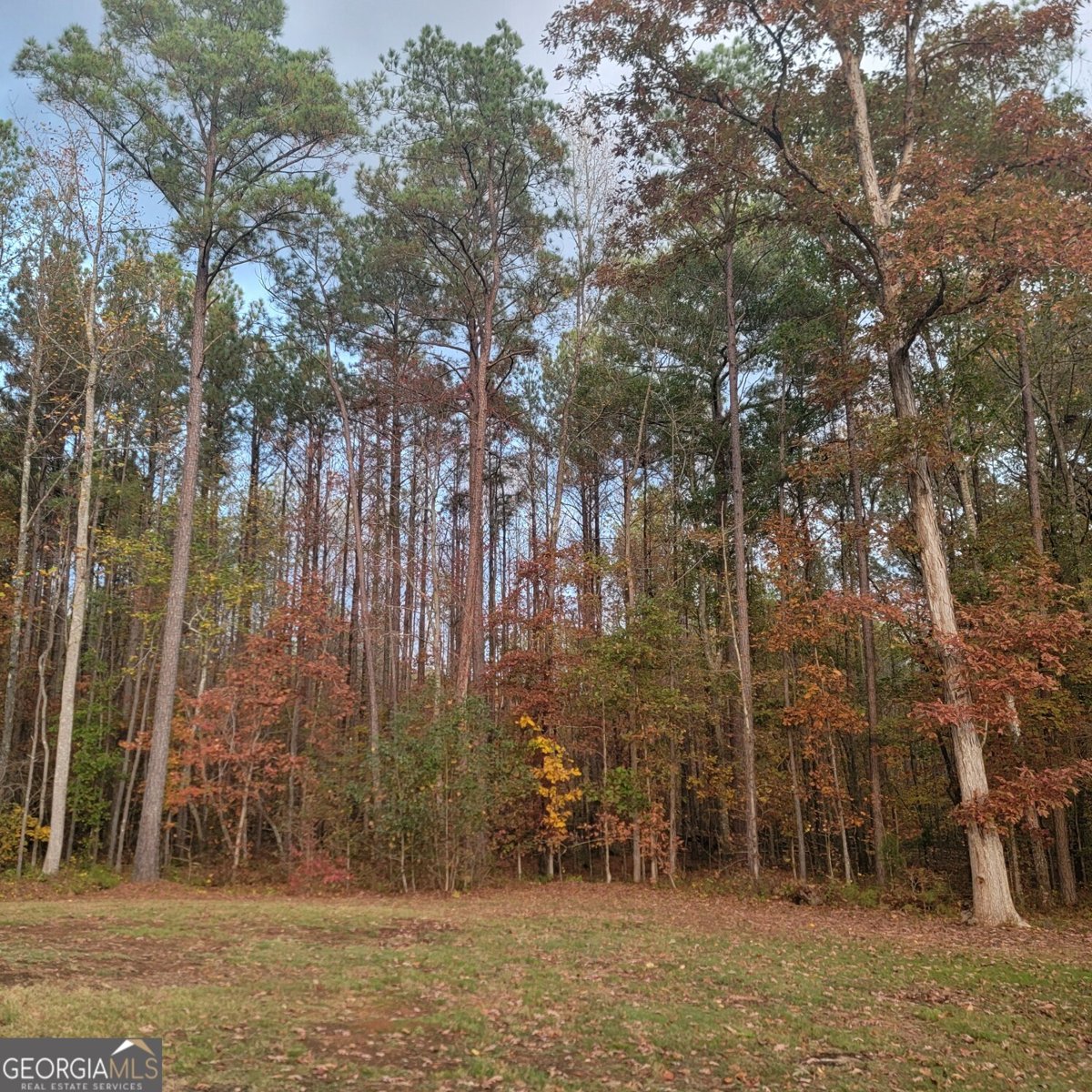 19 Allison Road Moreland - Photo 20