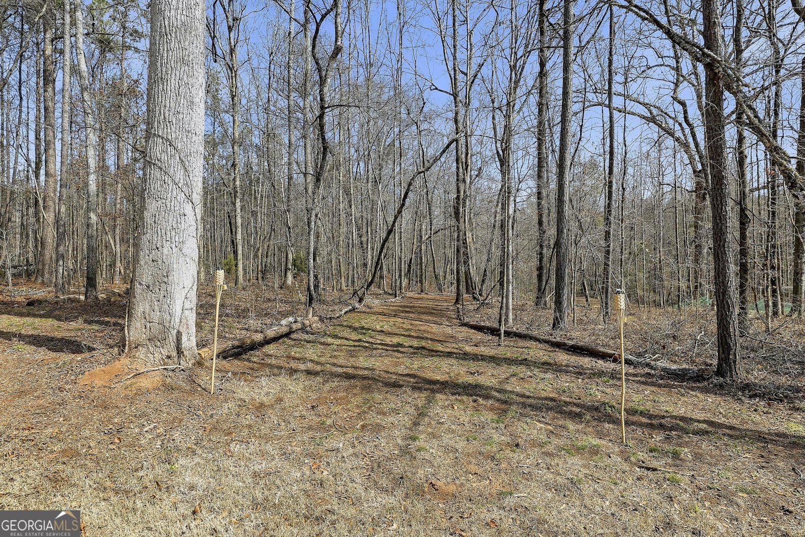 19 Allison Road Moreland - Photo 71