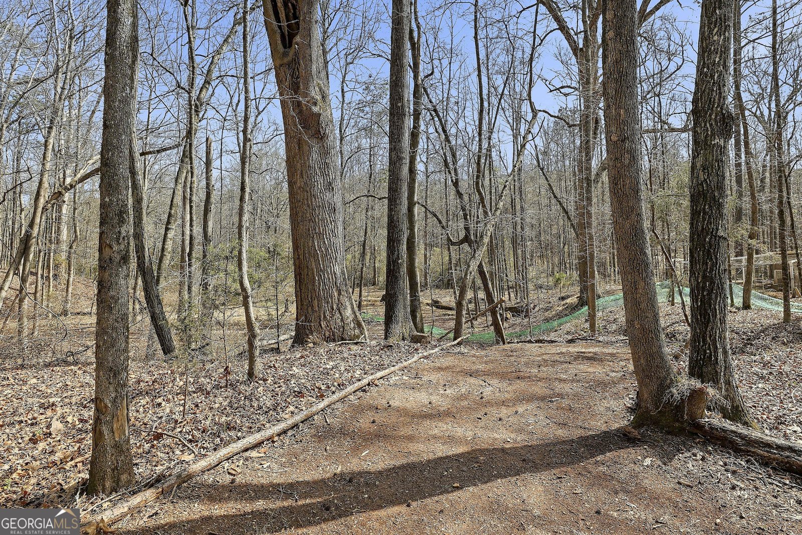 19 Allison Road Moreland - Photo 72