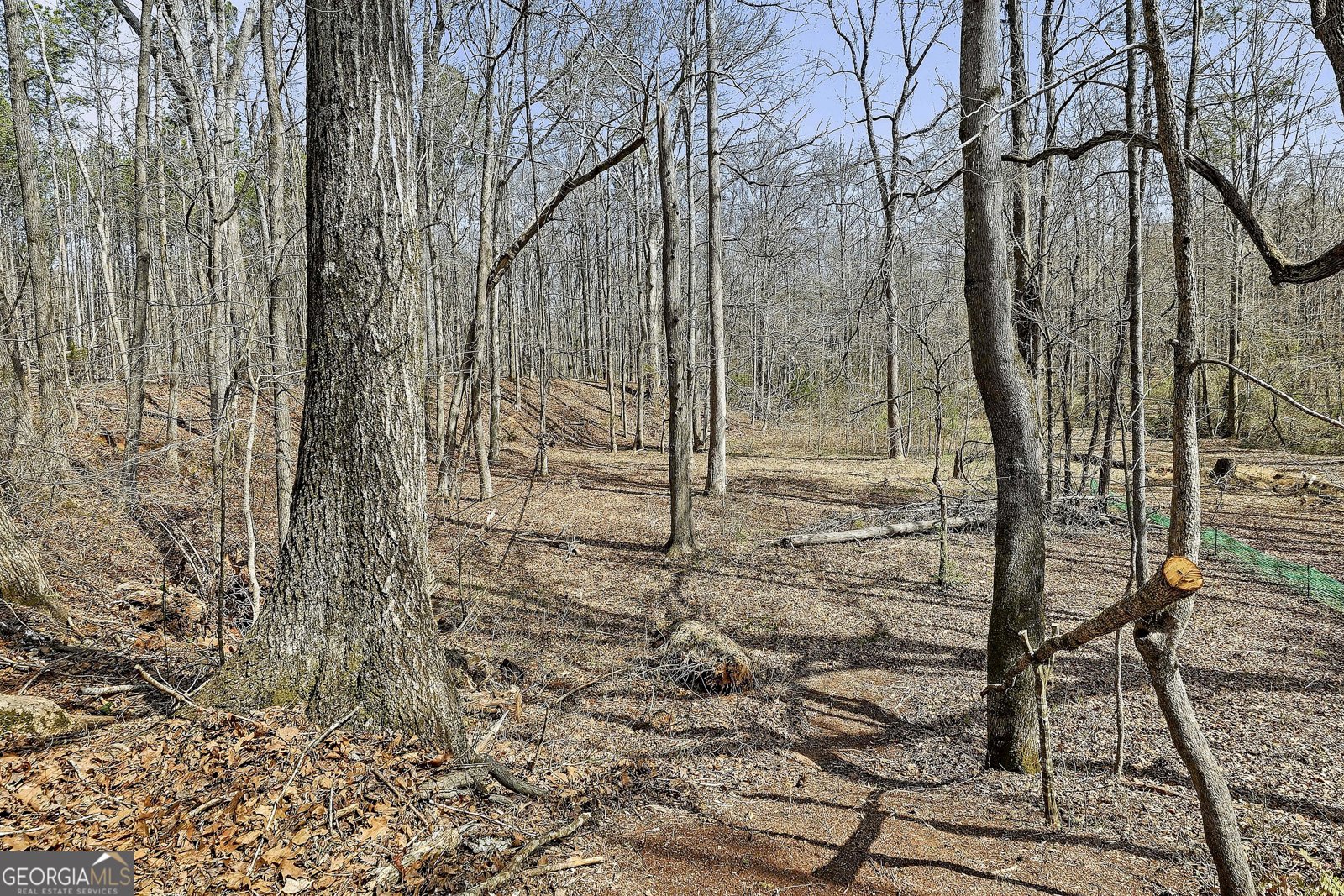 19 Allison Road Moreland - Photo 73