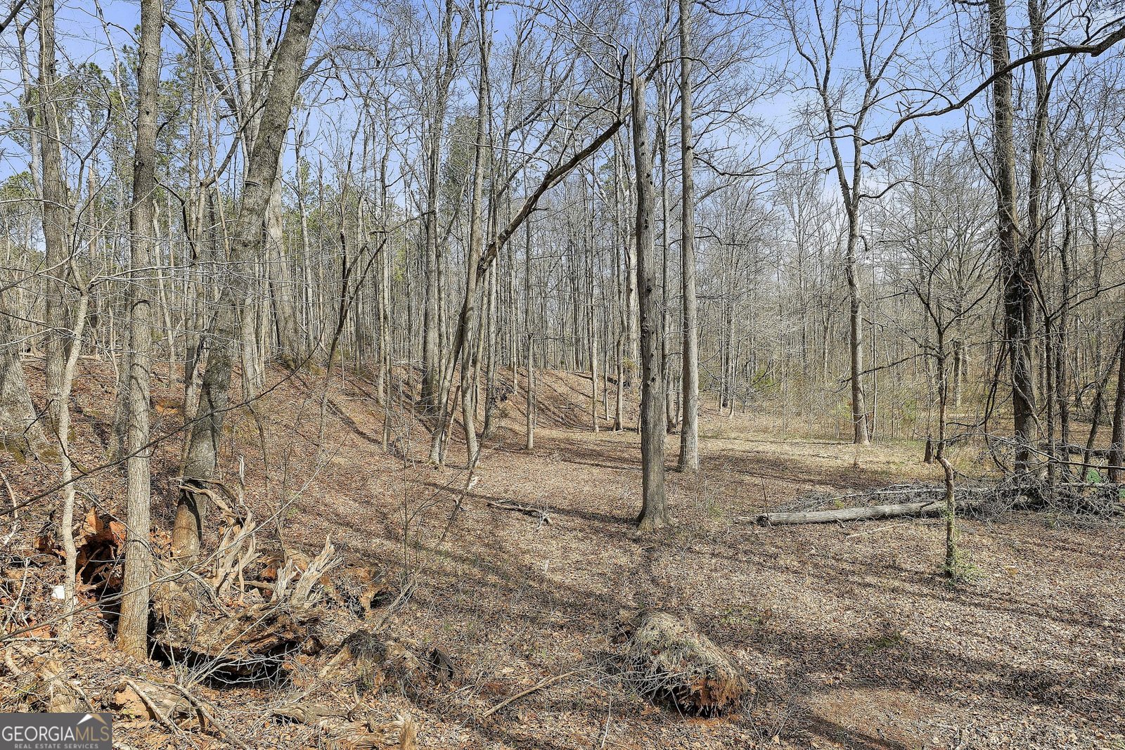 19 Allison Road Moreland - Photo 74