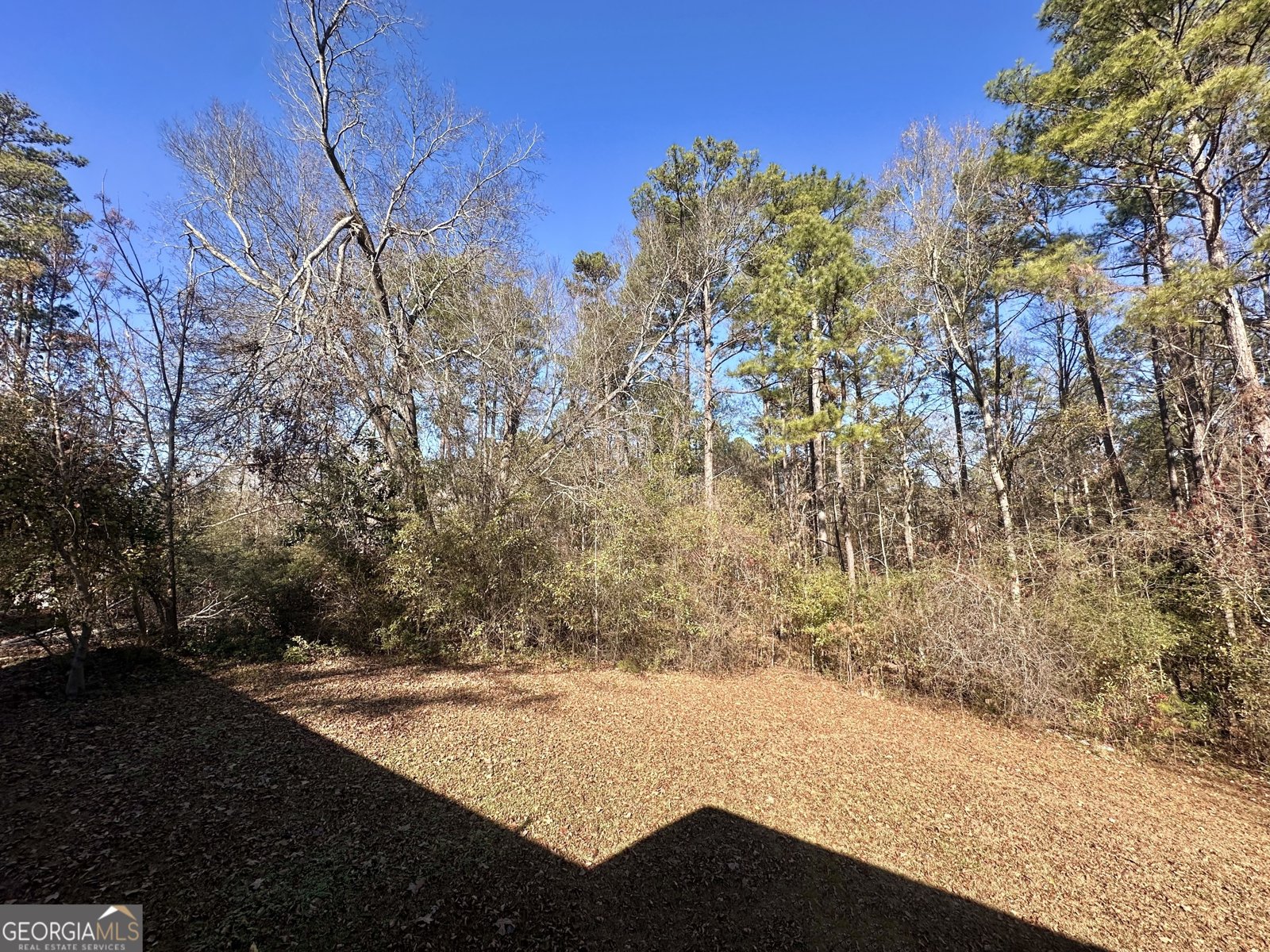 276 Oglesby Bridge Road Conyers - Photo 11