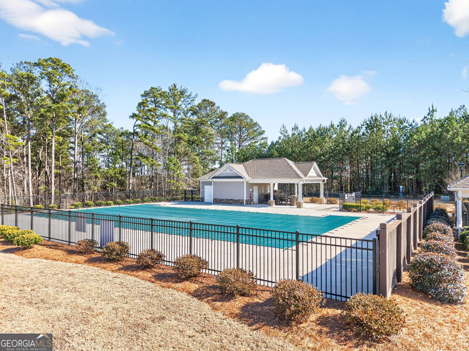 1098 Caruso Drive Buford - Photo 41