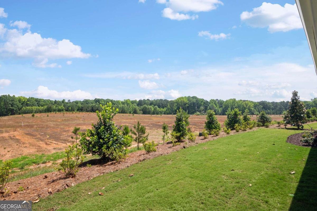 253 Nesta Grove Drive Locust Grove - Photo 35