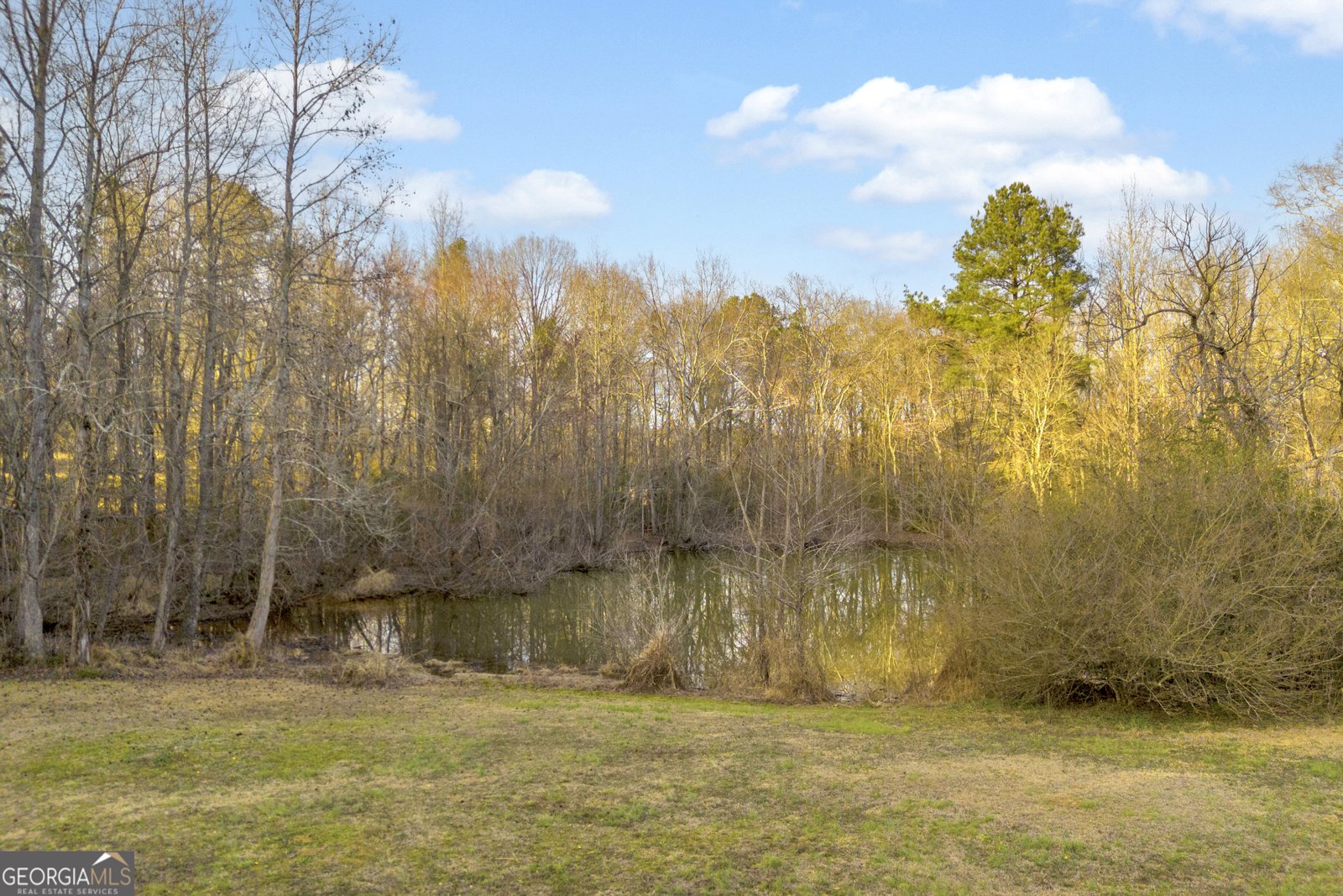 163 Ridgeland Drive Maysville - Photo 12