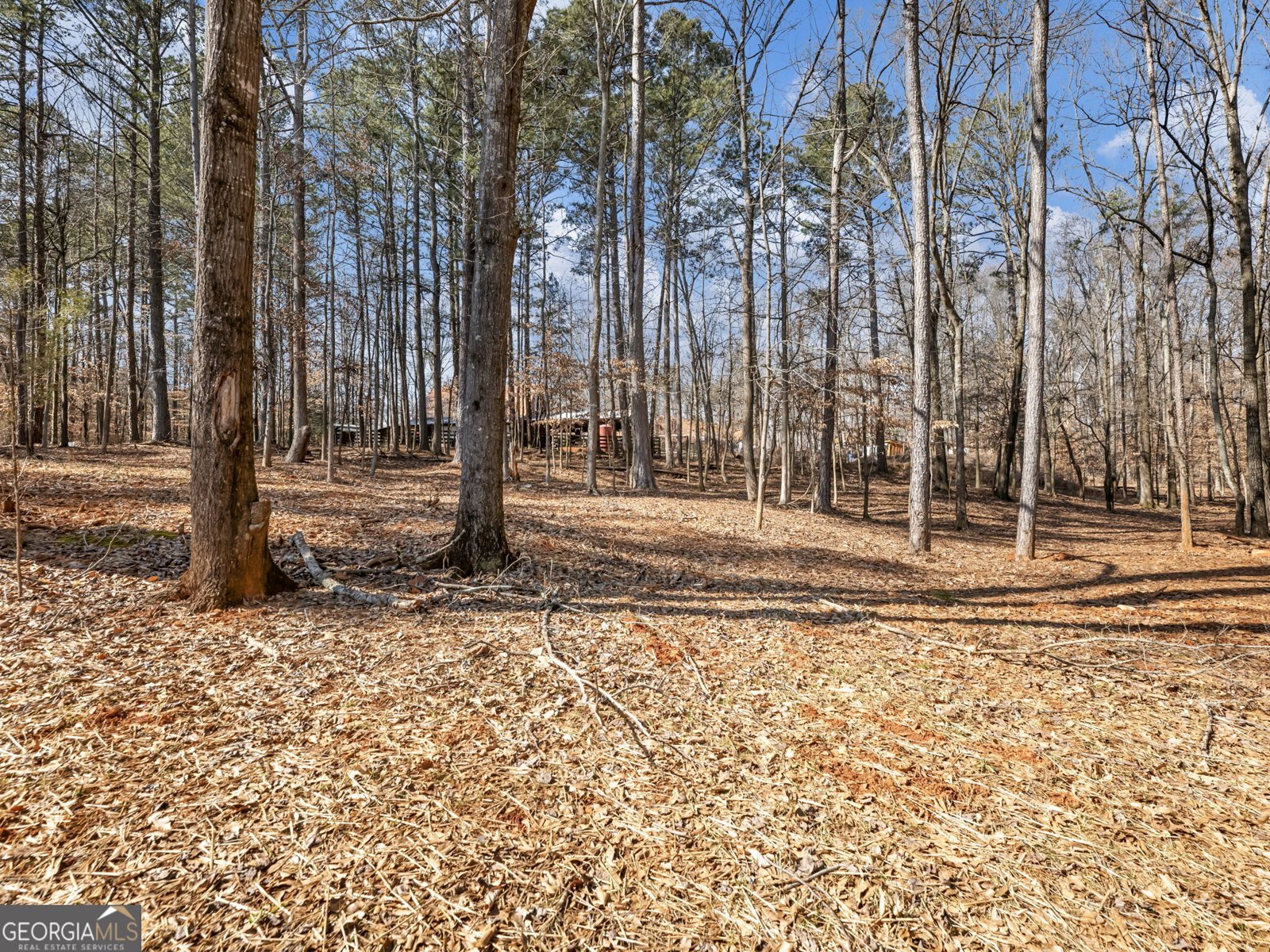 912 Westwood Lane Winder - Photo 52