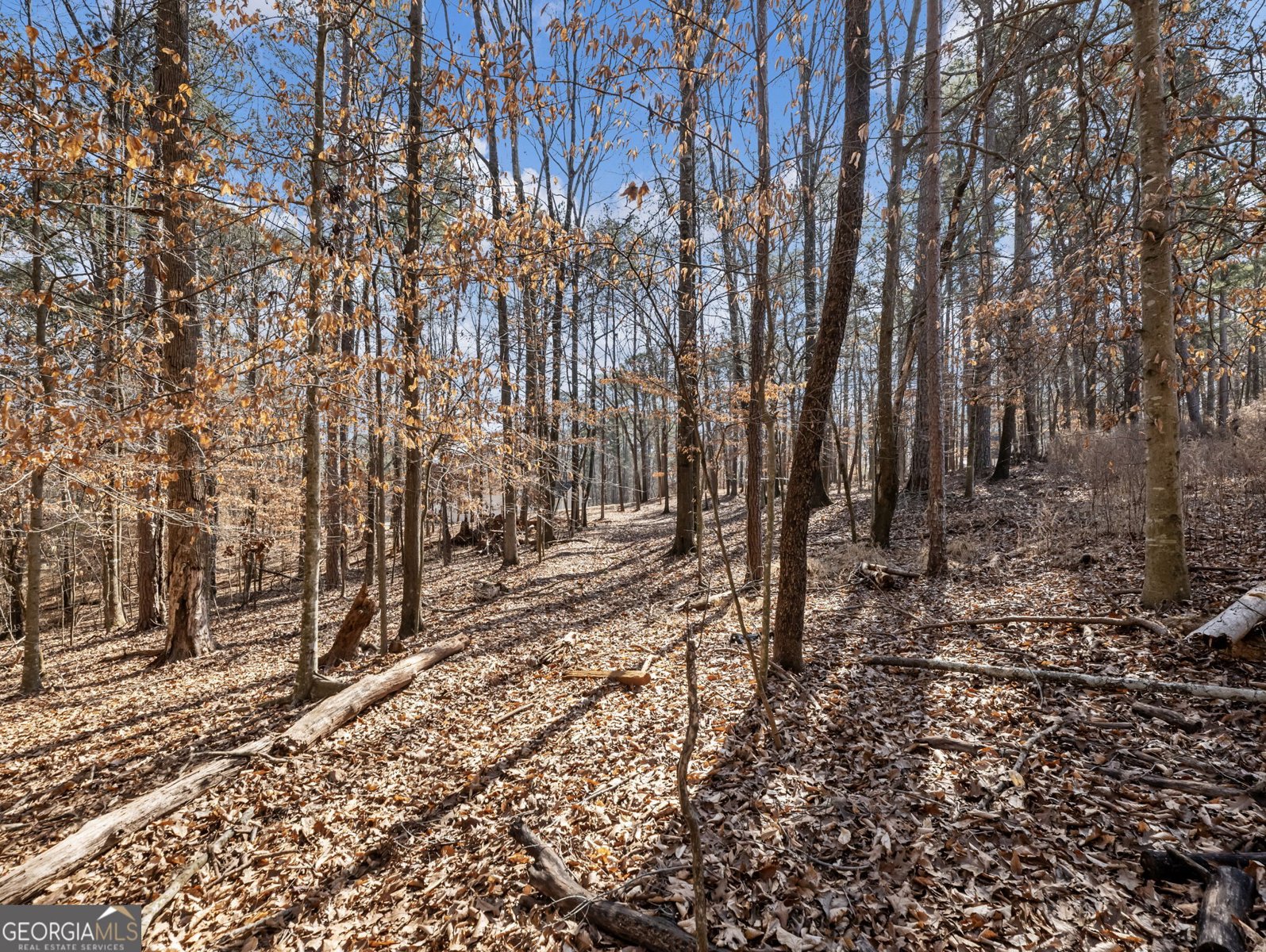 912 Westwood Lane Winder - Photo 54