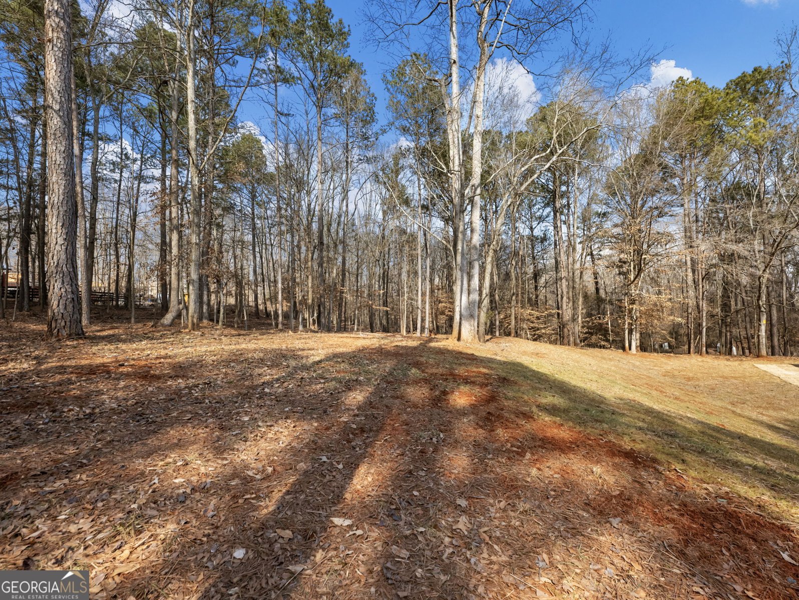 912 Westwood Lane Winder - Photo 56