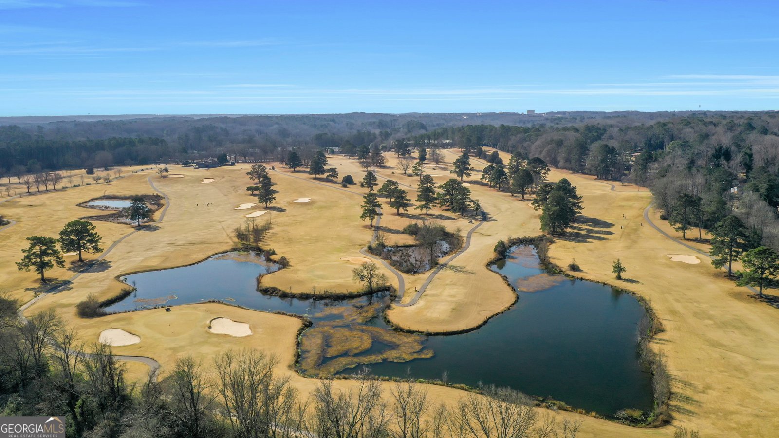 2375 Browns Mill Road Atlanta - Photo 66