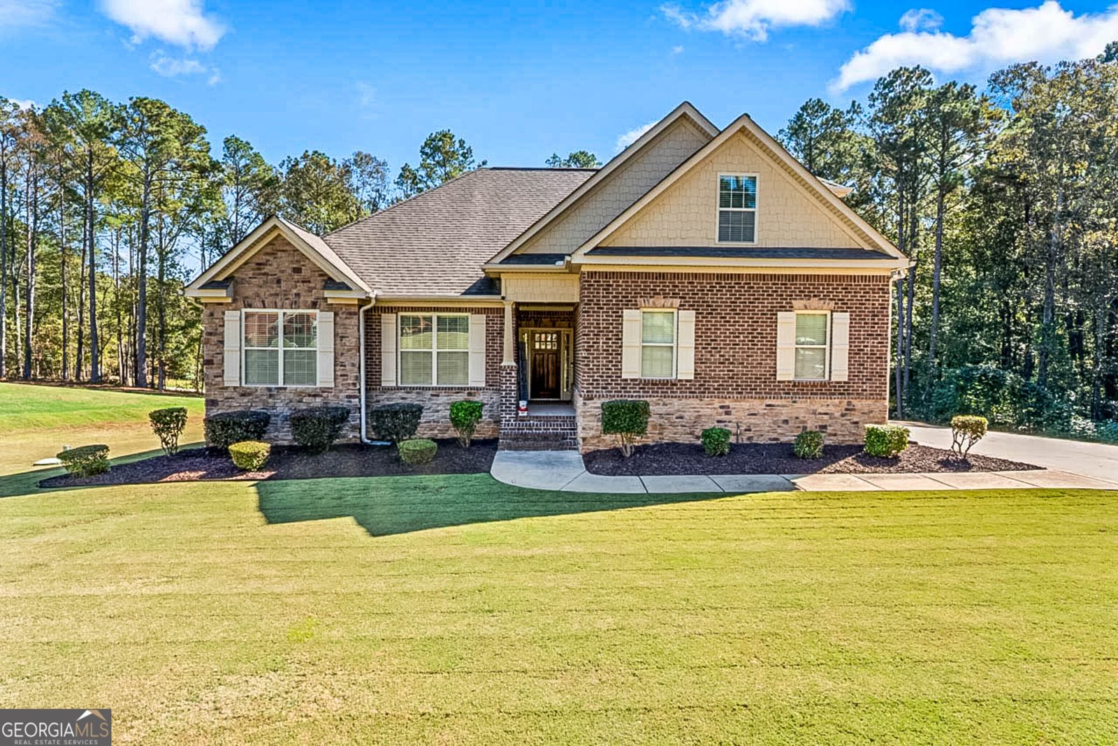 770 Upchurch Road McDonough - Photo 1