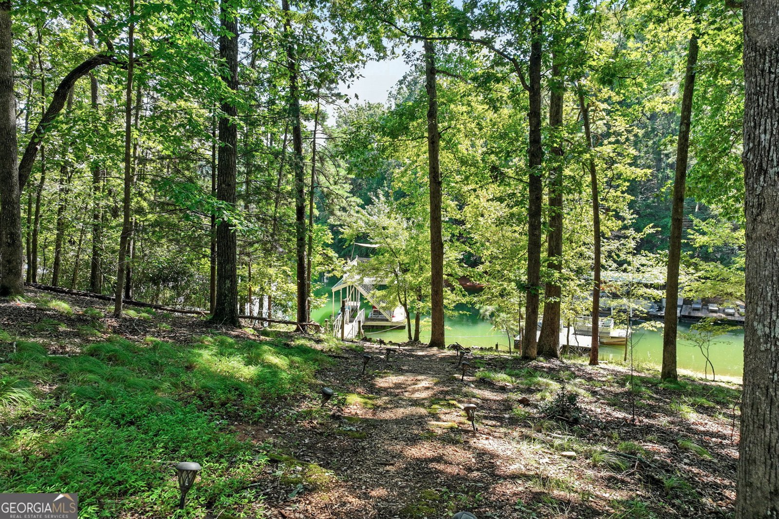 504 Sams Road Dawsonville - Photo 36