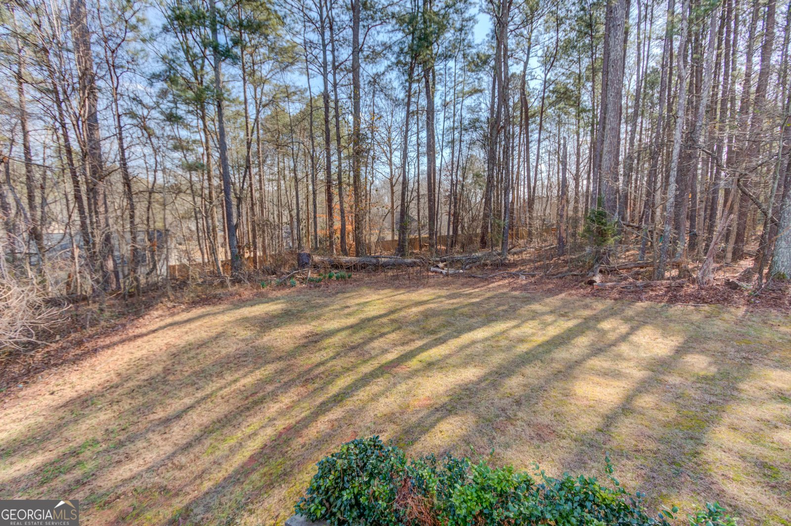 115 Sweet Auburn Lane Dacula - Photo 57