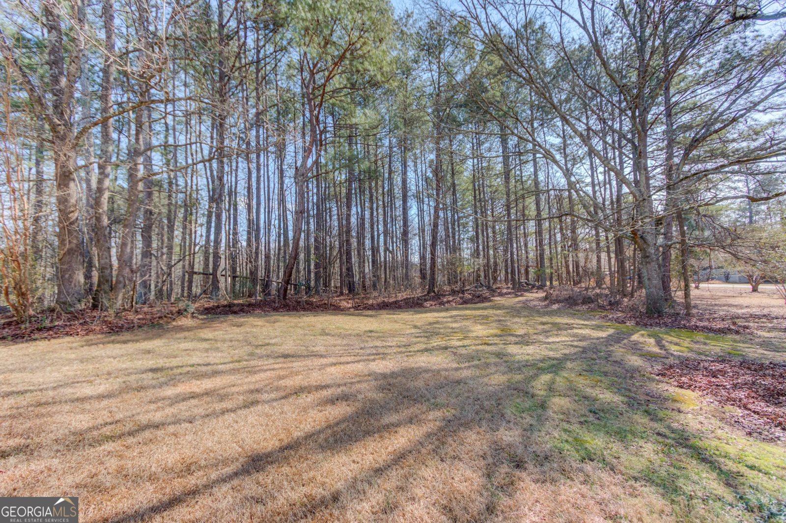 115 Sweet Auburn Lane Dacula - Photo 65