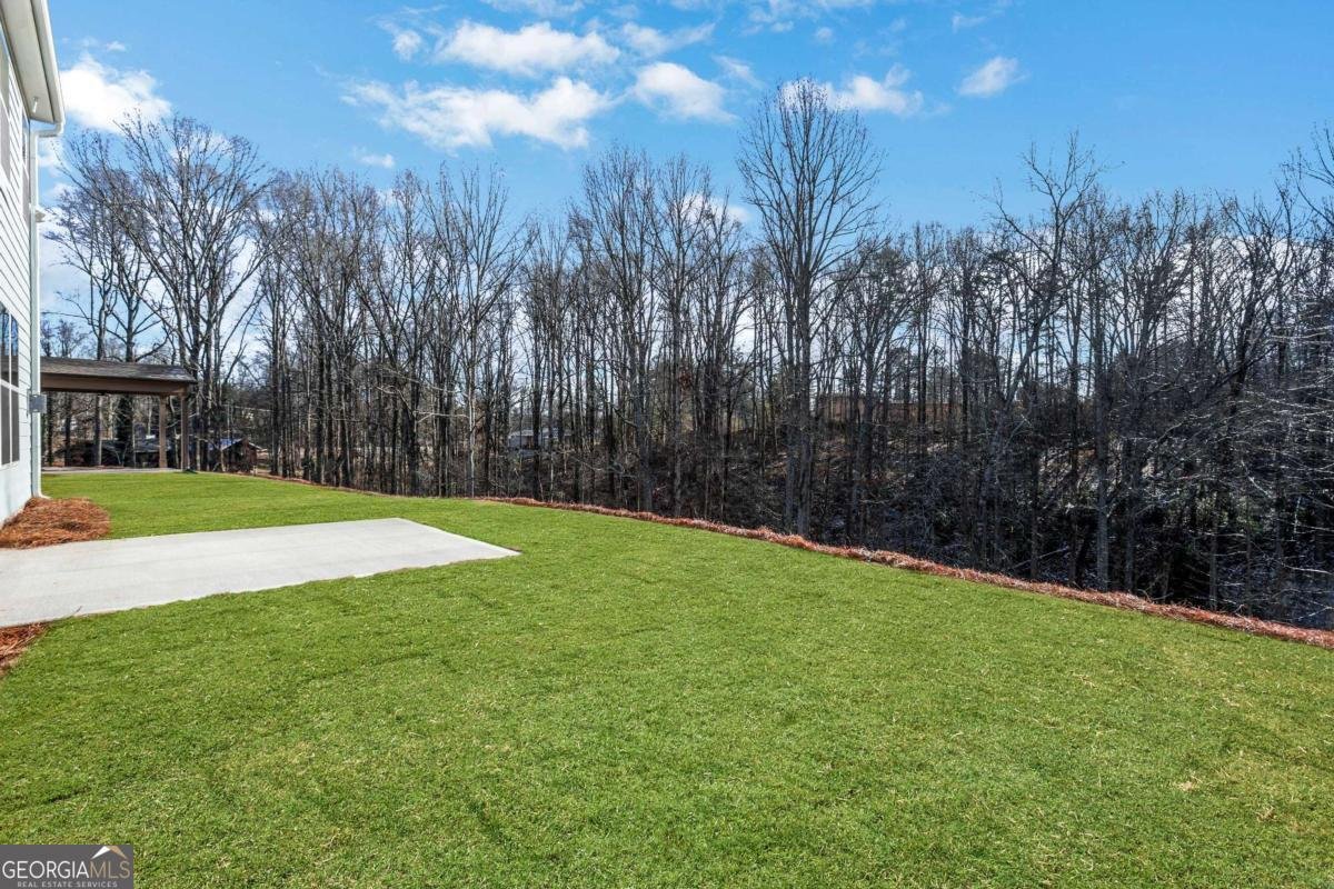 186 Trace Bluff Dawsonville - Photo 36