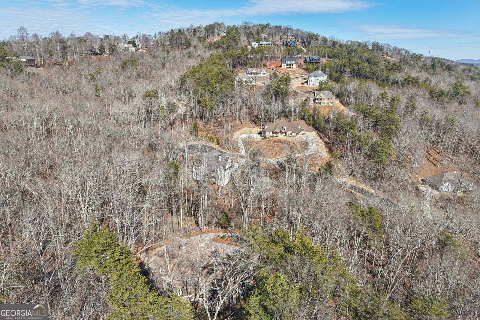 99 Madeline Anthony Road Dahlonega - Photo 101