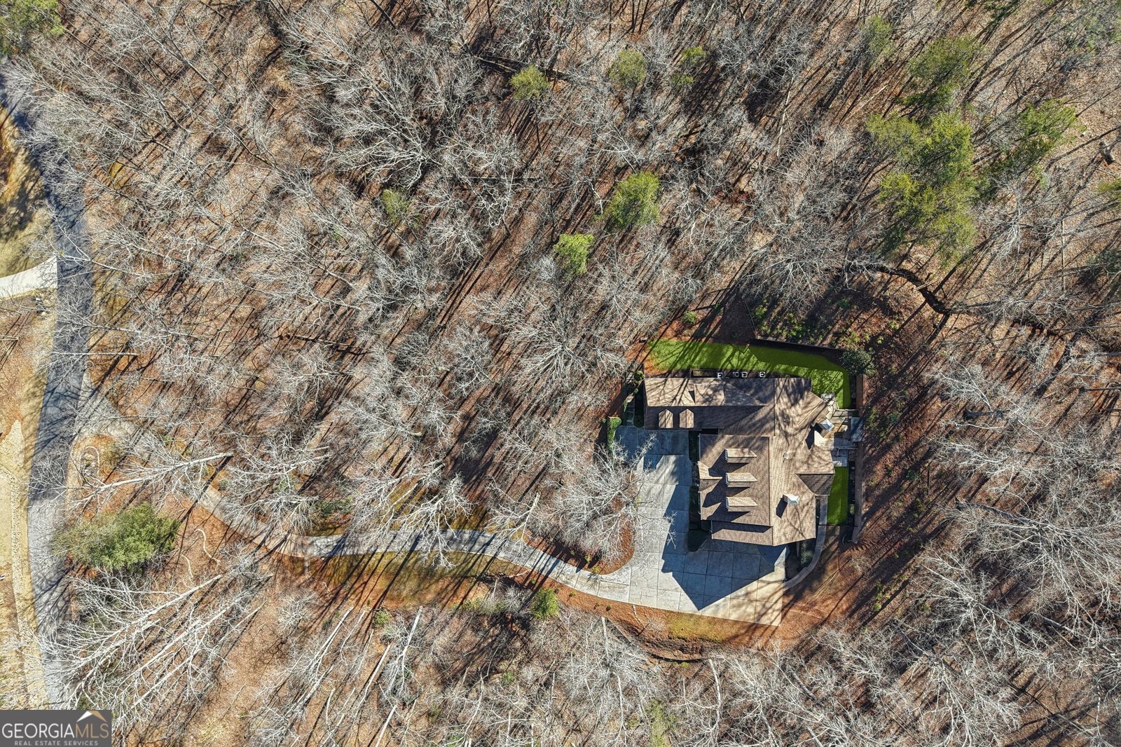 99 Madeline Anthony Road Dahlonega - Photo 102