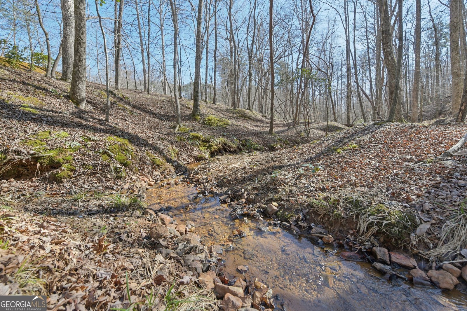 99 Madeline Anthony Road Dahlonega - Photo 93