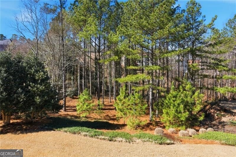 5248 Sterling Cove Court Mableton - Photo 41