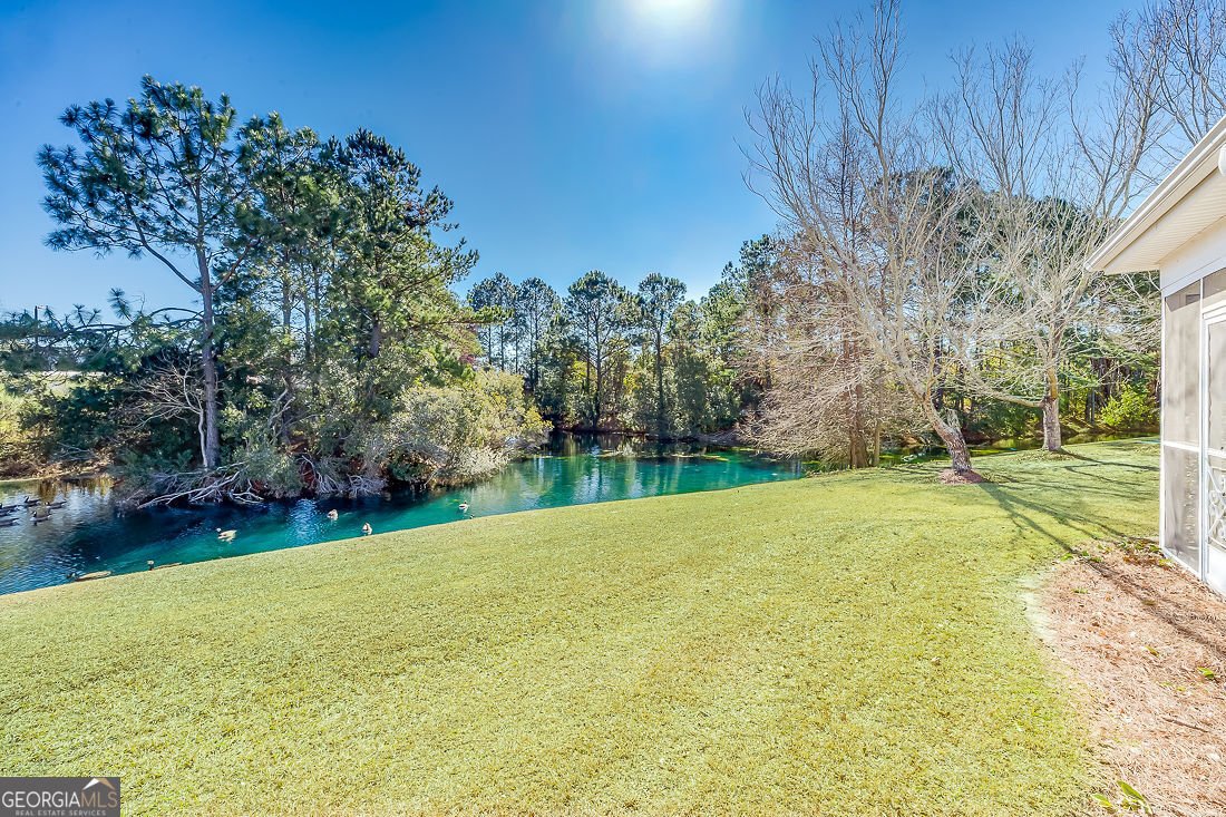 58 Stonelake Circle Savannah - Photo 28