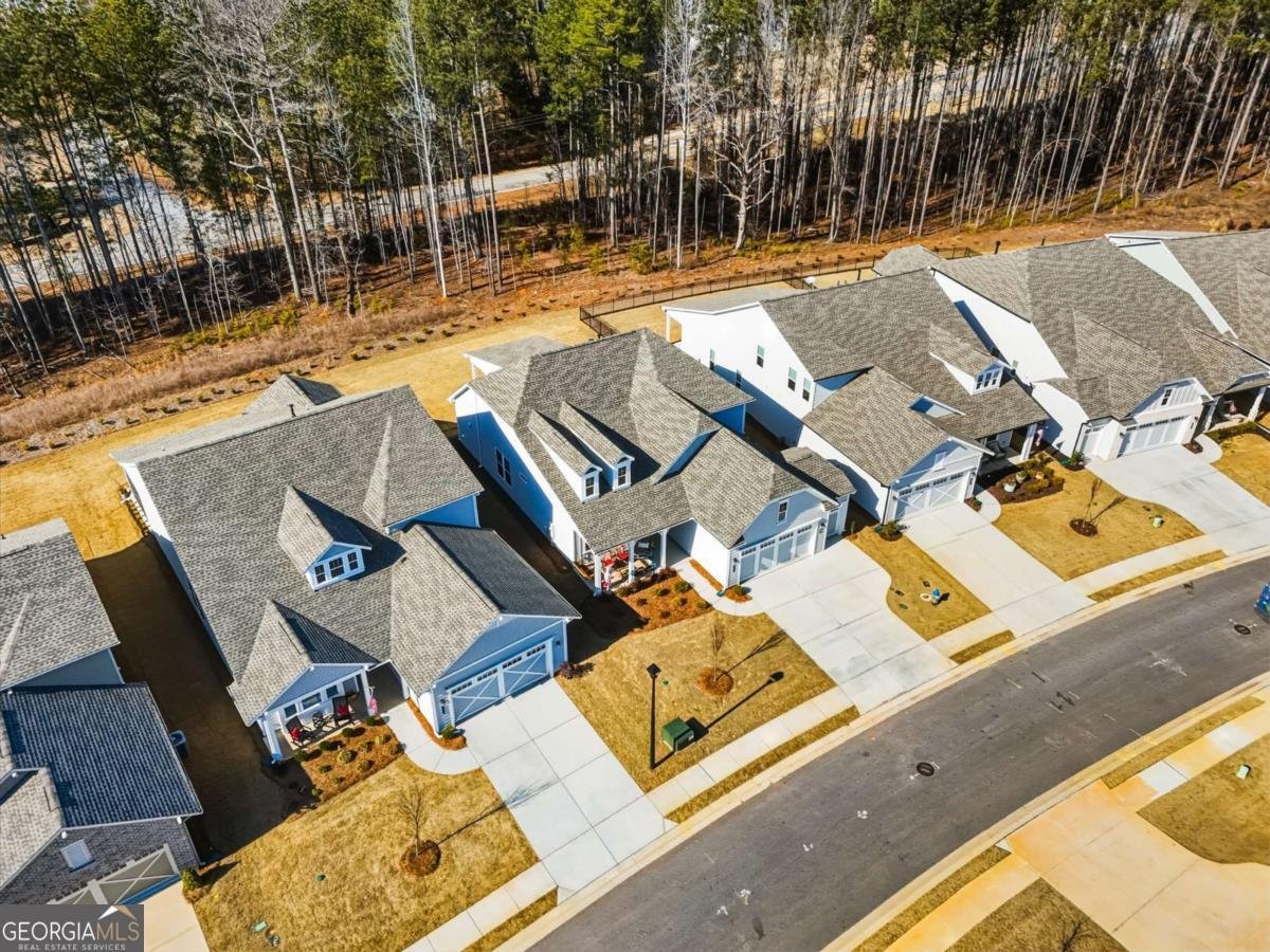 106 Geneva Way Hoschton - Photo 39