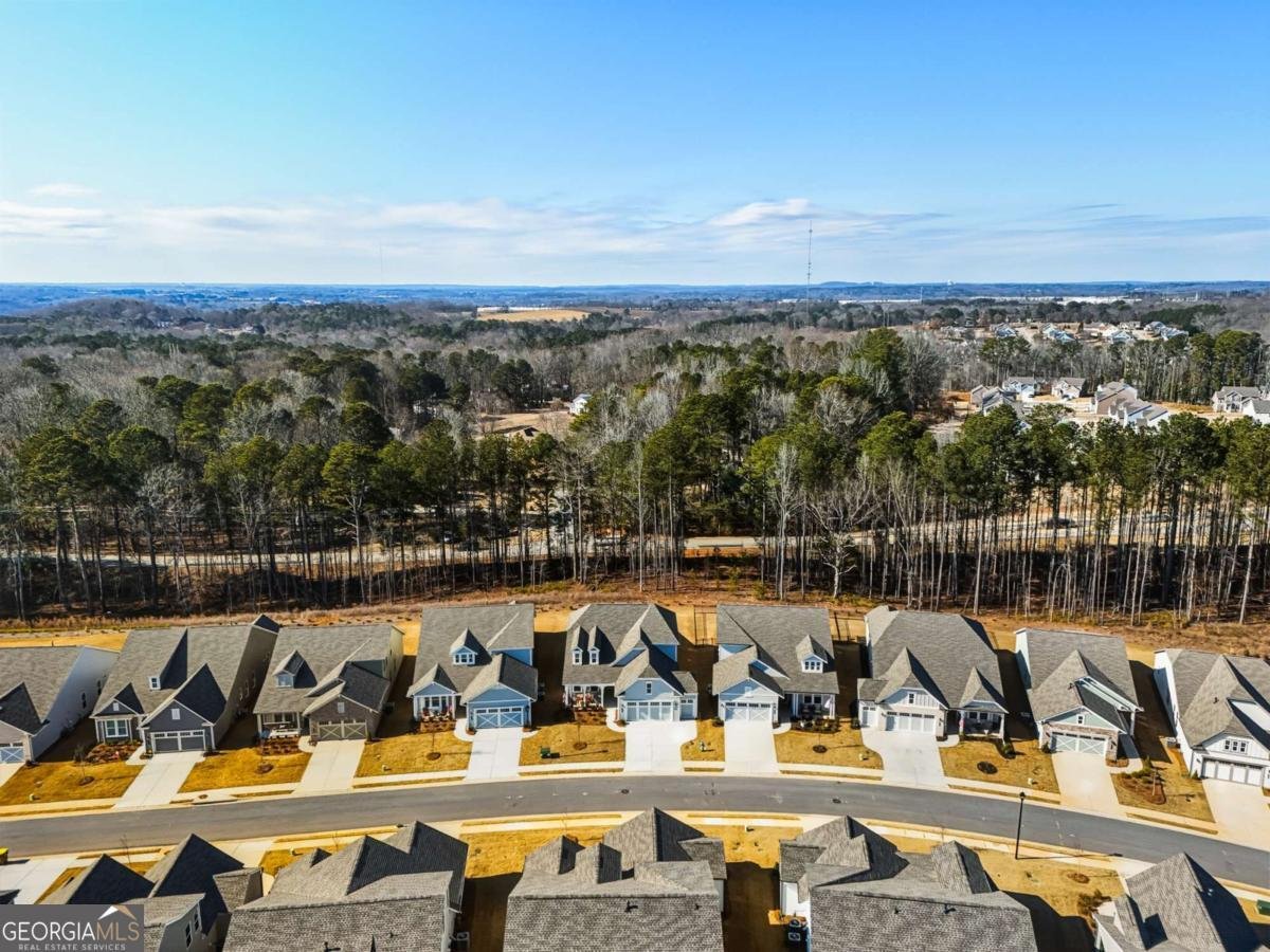 106 Geneva Way Hoschton - Photo 40